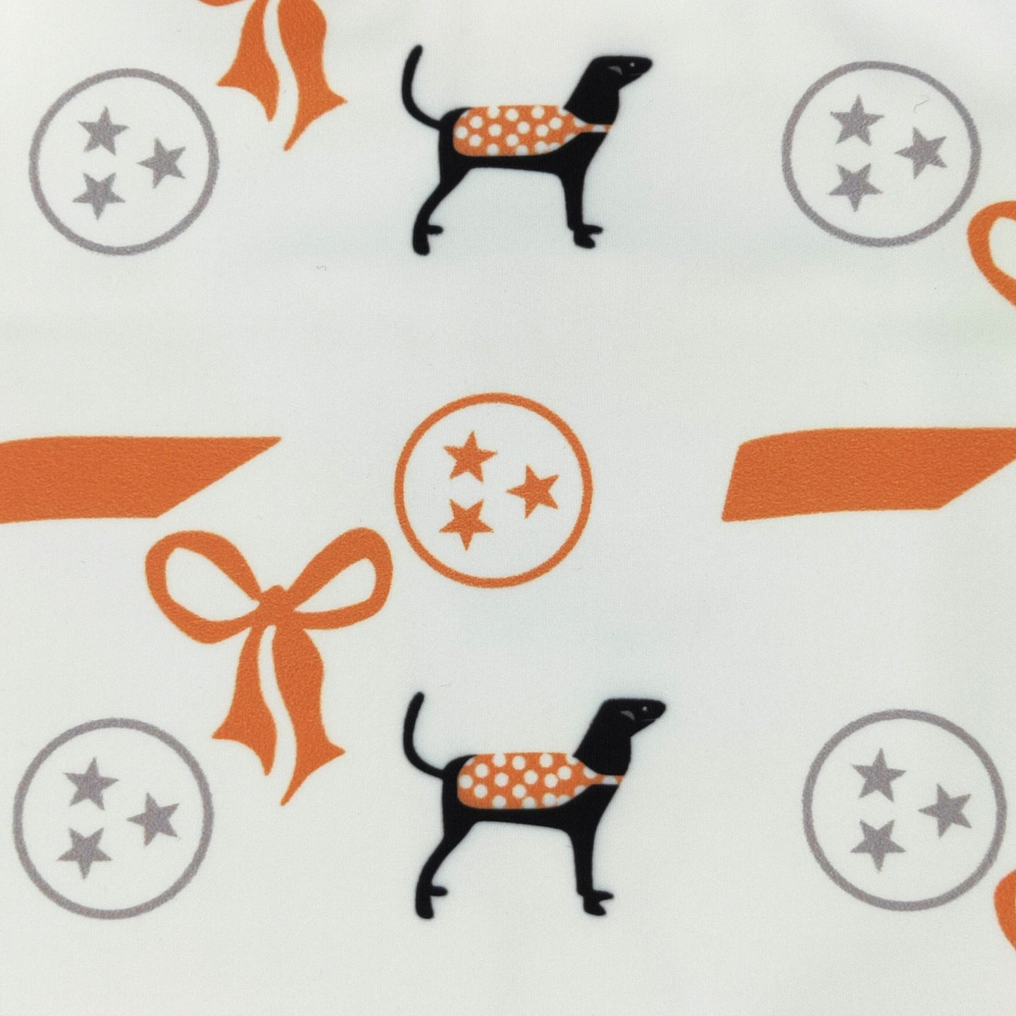 TN Ruffle Girls Skort Set