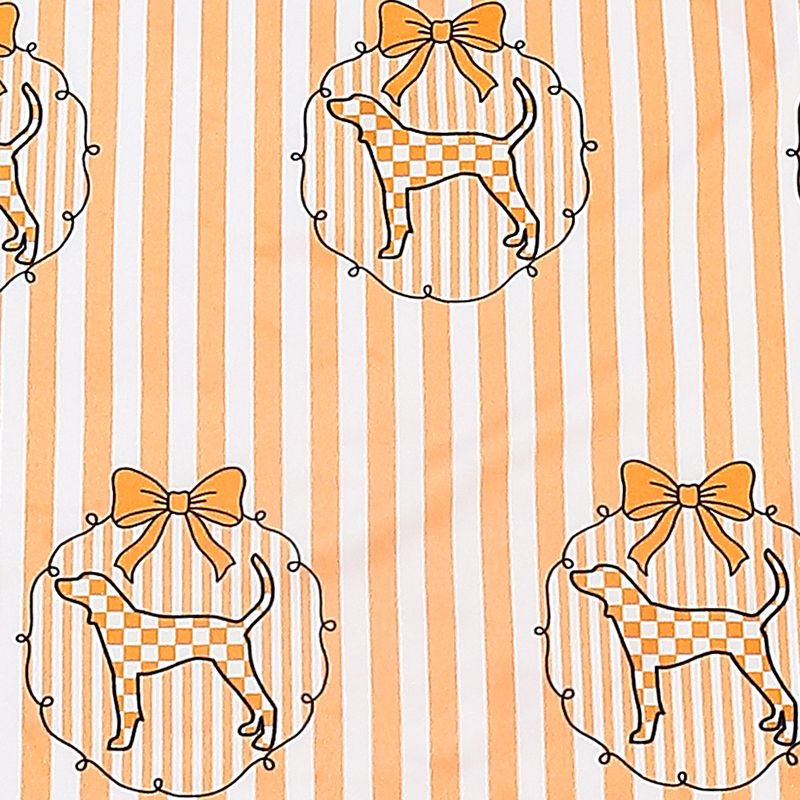 Preppy TN Stripe Girls Blanket