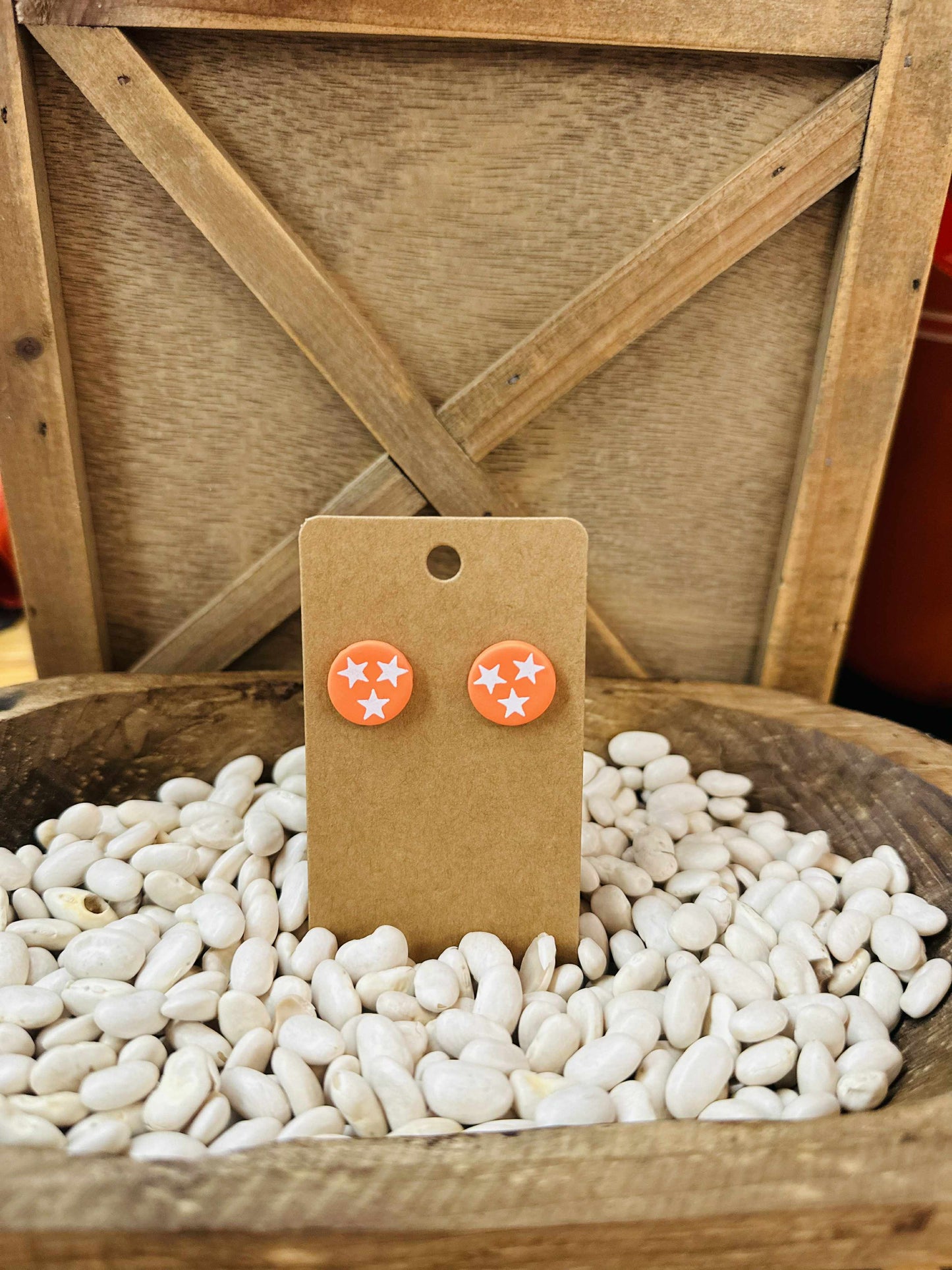 Asst. TN Earrings