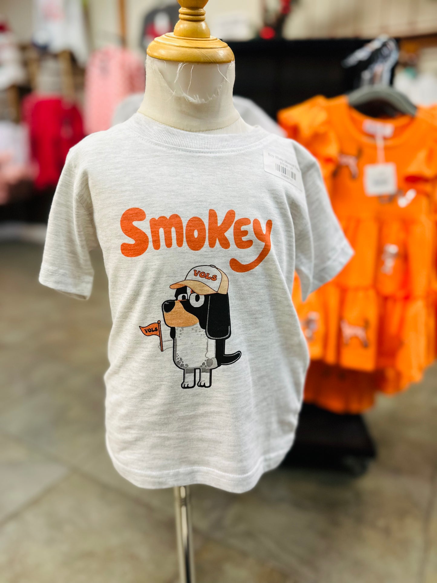 Boy Bluey Mascot Tshirt