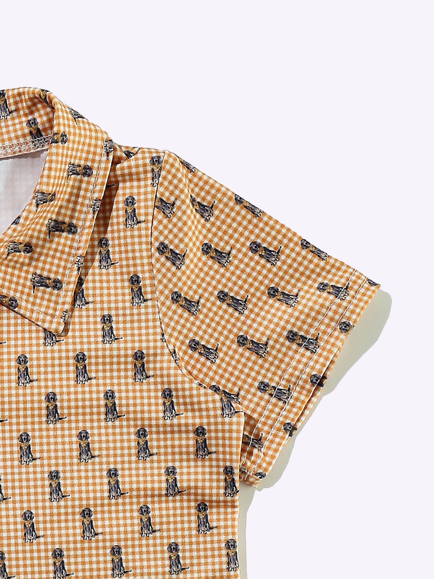 SS Checkered Smokey Collar Shirt