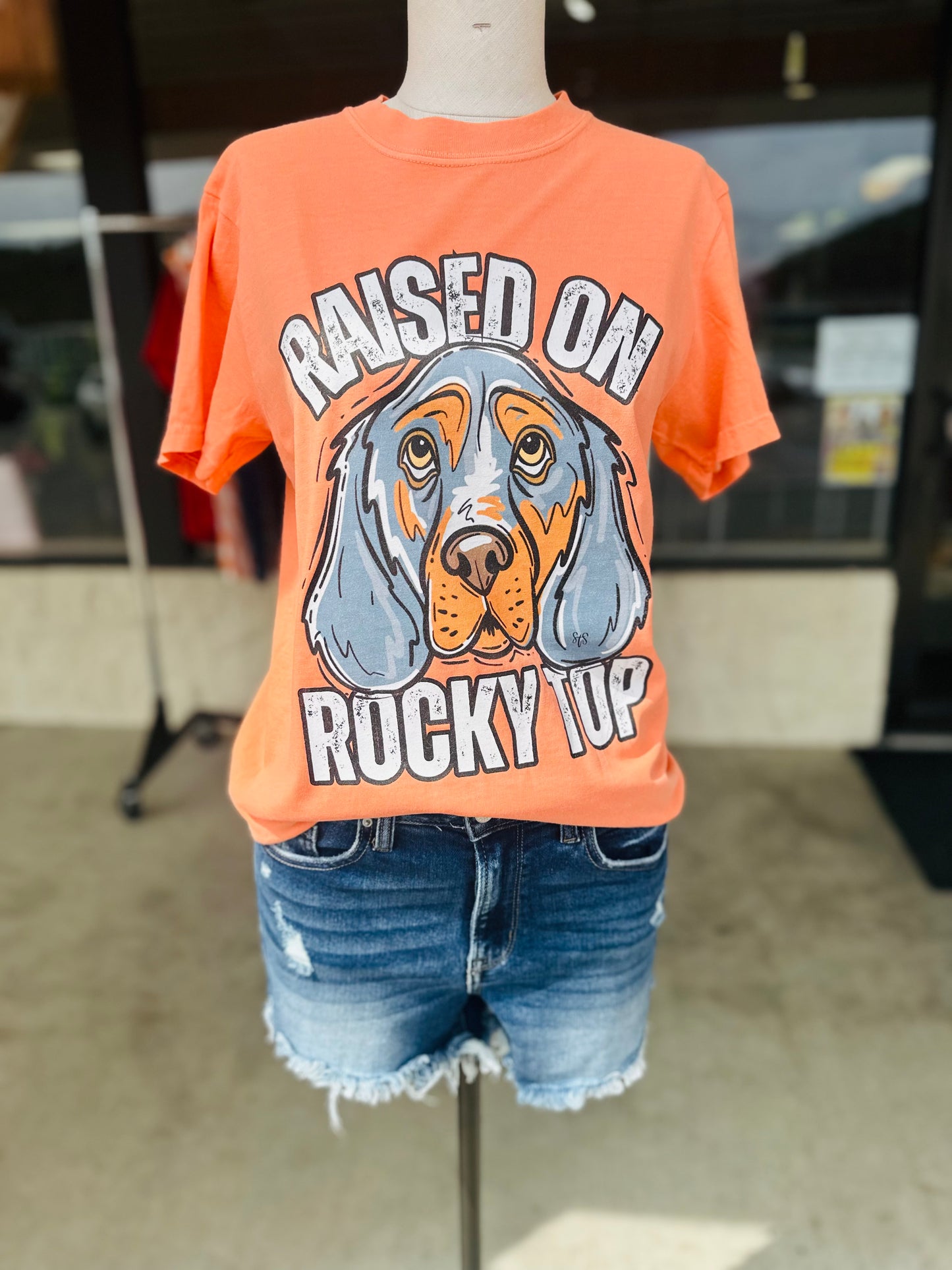 Raised on Rocky Top Adult Tshirt