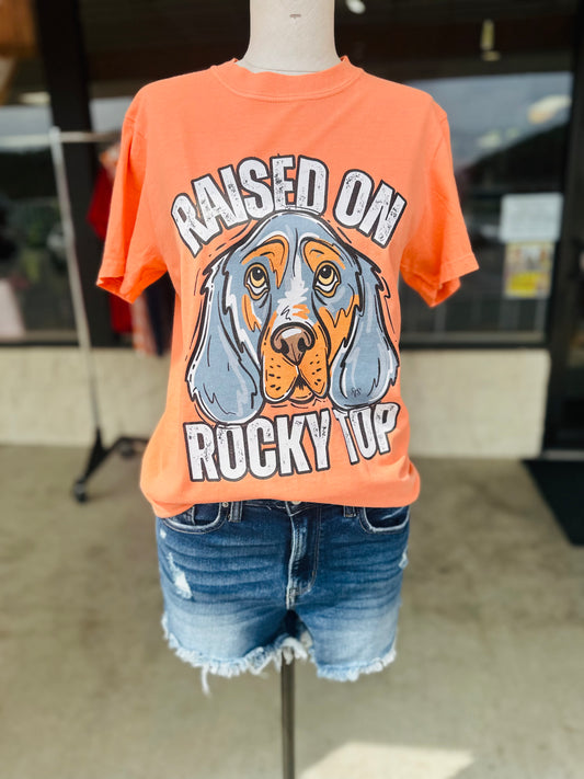 Raised on Rocky Top Adult Tshirt